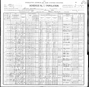 Illinois census 1900 geneseo city.png