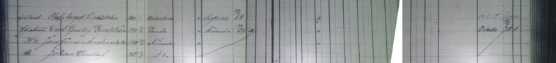 File:Olafe august and carl gustaf lindstrom census.JPG